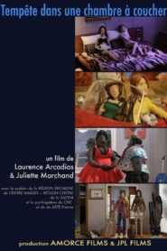 Tempête dans une chambre à coucher 2011 on netflix