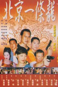 Dragon in Beijing 1995 on netflix
