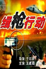 缉枪行动 1991 on netflix