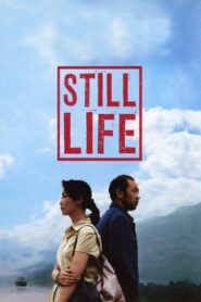 Still Life 2006 on netflix