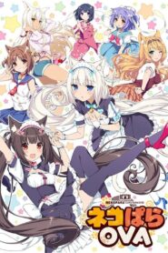 NEKOPARA OVA 2017 on netflix
