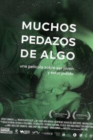 Many Pieces of Something 2015 on netflix