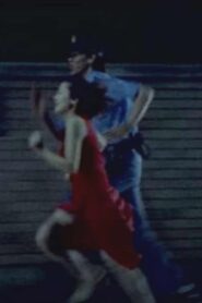 Bonheur Heights 2002 on netflix