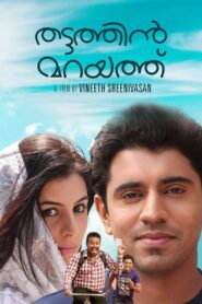 Thattathin Marayathu 2012 on netflix