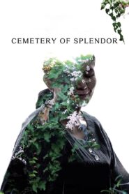 Cemetery of Splendor 2015 on netflix