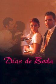 Días de voda 2002 on netflix