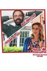 Mia moglie, mia figlia, due bebè 2016 on netflix