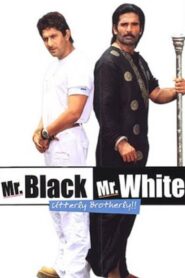 Mr. Black Mr. White 2008 on netflix