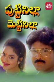 Puttinilla Mettinilla 1994 on netflix