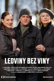 Ledviny bez viny 2022 on netflix