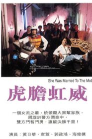 虎胆虹威 1995 on netflix