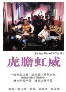虎胆虹威 1995 on netflix