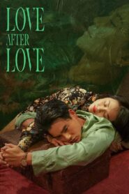 Love After Love 2021 on netflix