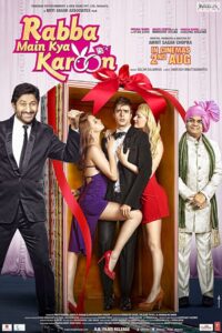 Rabba Main Kya Karoon 2013 on netflix