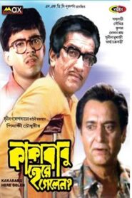Kakababu Here Gelen? 1995 on netflix
