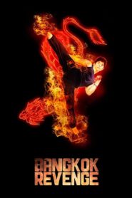 Bangkok Revenge 2011 on netflix