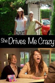 She Drives Me Crazy 2007 on netflix