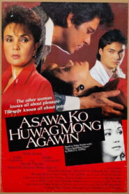 Asawa Ko Huwag Mong Agawin 1987 on netflix