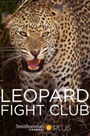 Leopard Fight Club 2013 on netflix