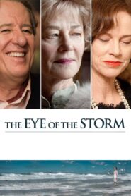 The Eye of the Storm 2011 on netflix