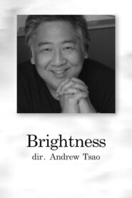 Brightness 2001 on netflix