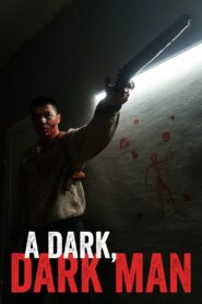 A Dark, Dark Man 2020 on netflix