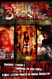 Dead Human Collection 2005 on netflix