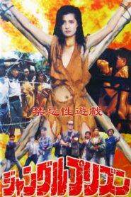 Erotic Journey 1993 on netflix