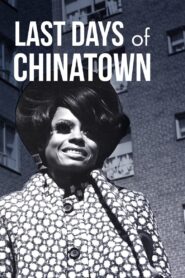 Last Days of Chinatown 2017 on netflix