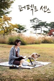 Perfect Sense 2016 on netflix