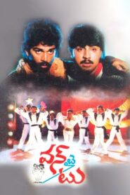 One by Two 1993 on netflix