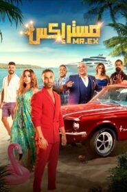 Mr. Ex 2023 on netflix