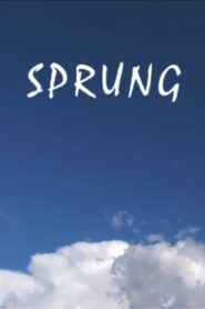 Sprung 2009 on netflix