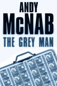 The Grey Man 2007 on netflix