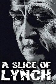 A Slice of Lynch 2007 on netflix