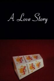 A Love Story 1996 on netflix