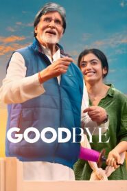 Goodbye 2022 on netflix