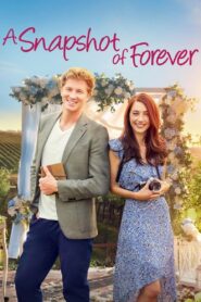 A Snapshot of Forever 2022 on netflix