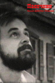 Beekeeper 1991 on netflix