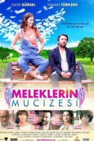 Meleklerin Mucizesi 2014 on netflix