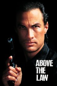 Above the Law 1988 on netflix