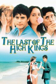 The Last of the High Kings 1996 on netflix