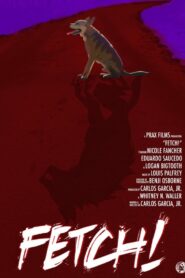 Fetch! 2023 on netflix