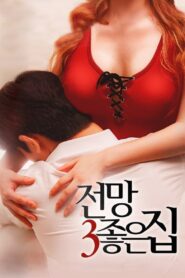 House with a Good View 3 2016 on netflix