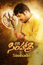 Simhadri 2003 on netflix