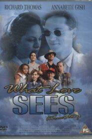 What Love Sees 1996 on netflix