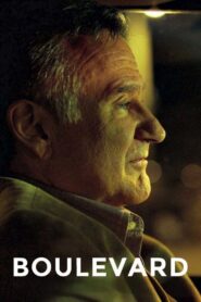Boulevard 2014 on netflix