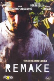 Remake 2003 on netflix
