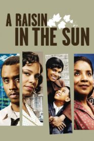 A Raisin in the Sun 2008 on netflix