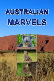 Australian Marvels 2016 on netflix